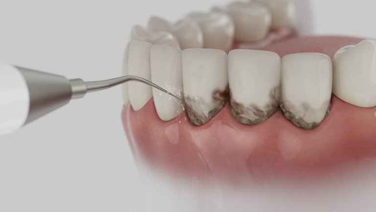 Reliable Dental contractor in Gordonsville, VA by Dentist Open Now
